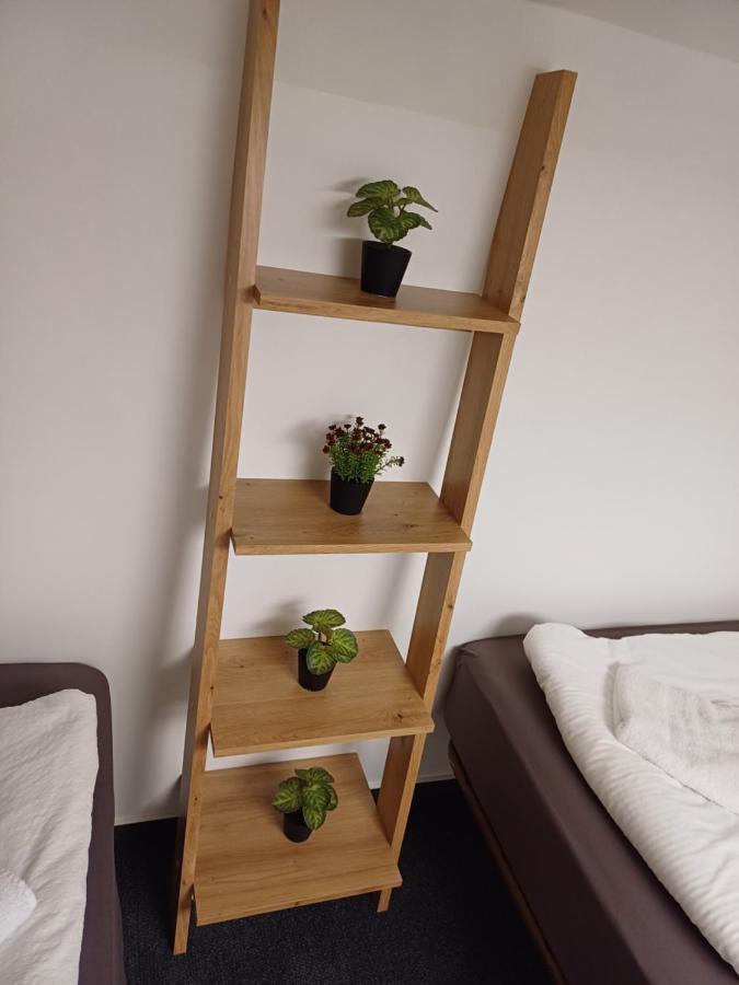 Apartment Afrodita Ljubljana Bagian luar foto
