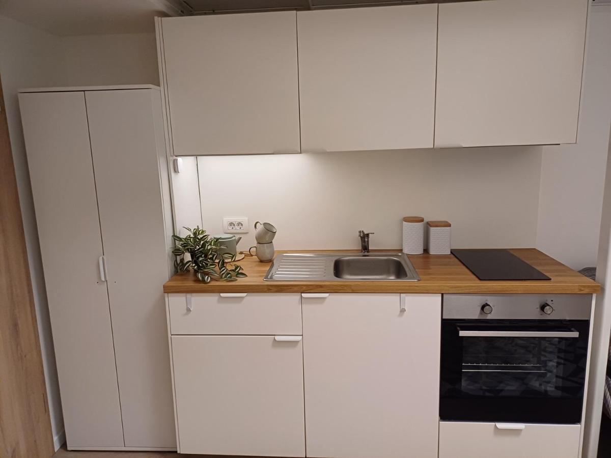 Apartment Afrodita Ljubljana Bagian luar foto