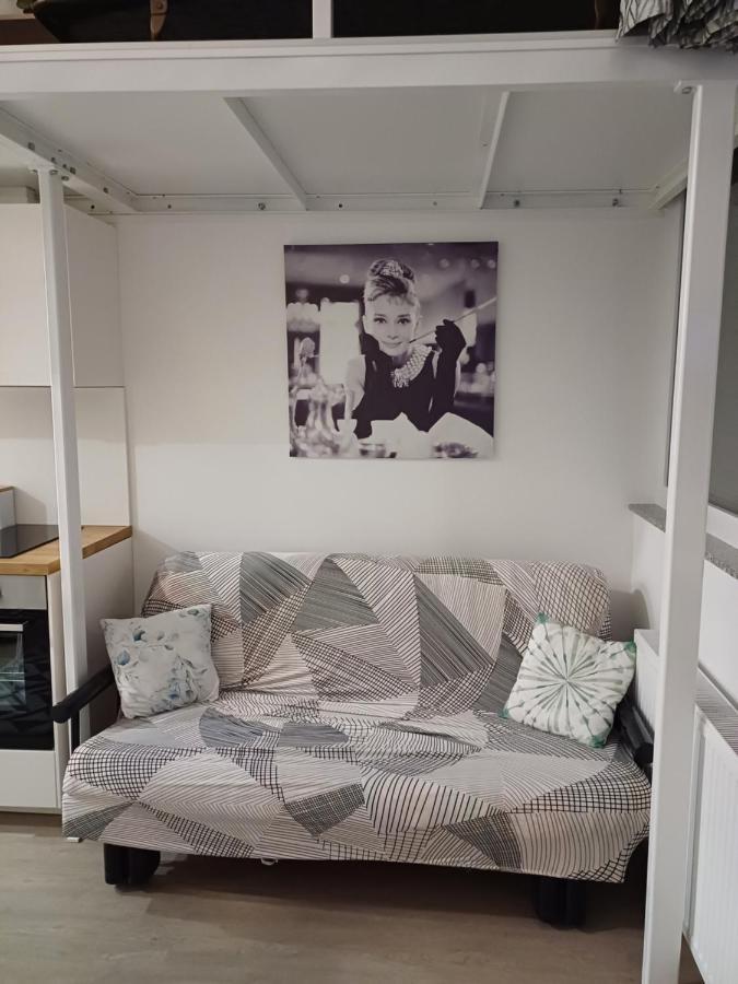Apartment Afrodita Ljubljana Bagian luar foto